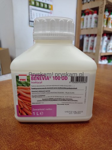 1877