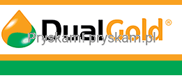 1913