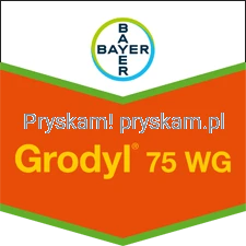 1796