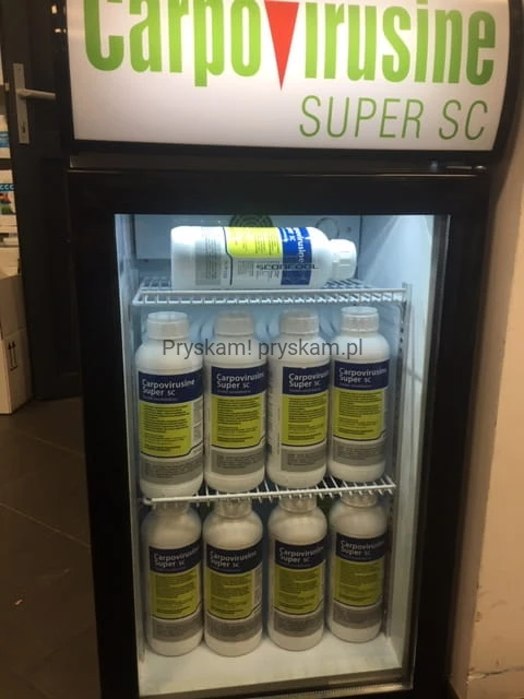 1631