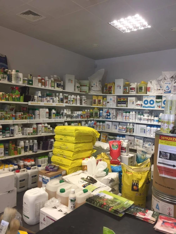 1907