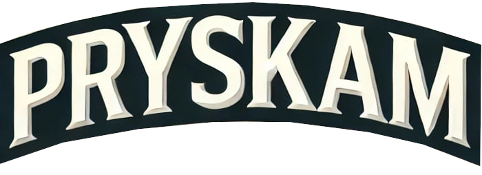 Shoper demo brak logo - strona główna